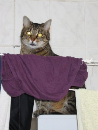 me siting behind the clothes-line
